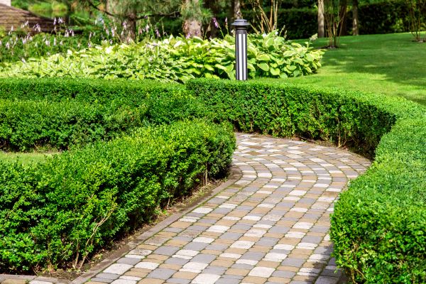 Cost of Paved Landscaping in Whittier