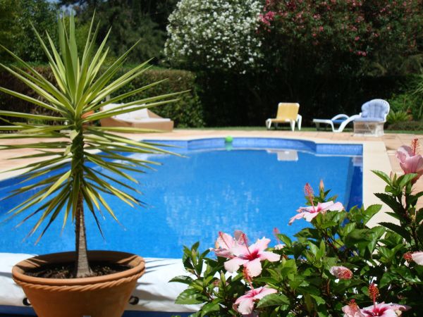Cost of Pool Terrace Renovation in Whittier