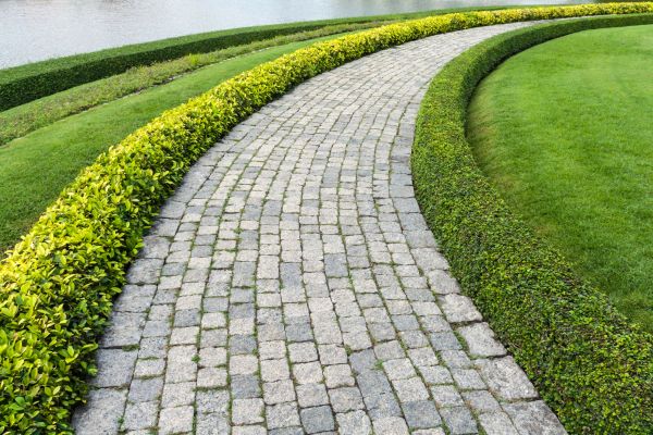Cost of Sidewalk Pavers Installation in Whittier
