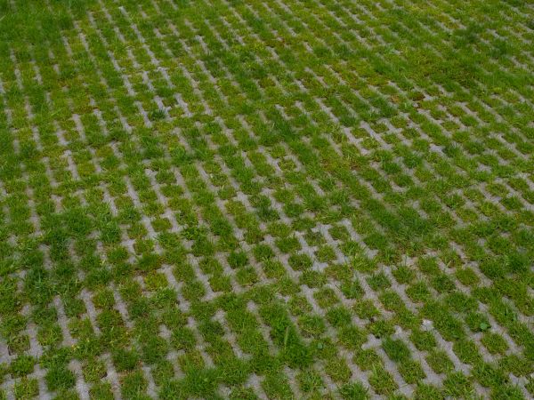 Cost of Permeable Pavement Service in Whittier