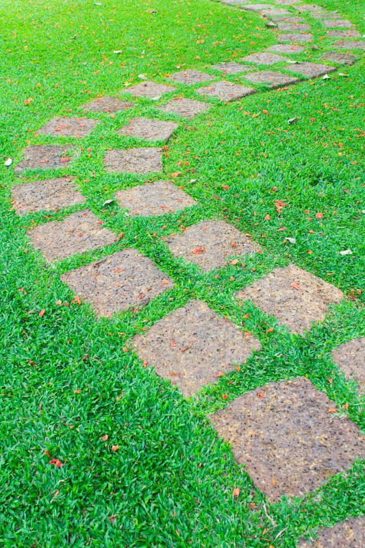 Backyard Paving