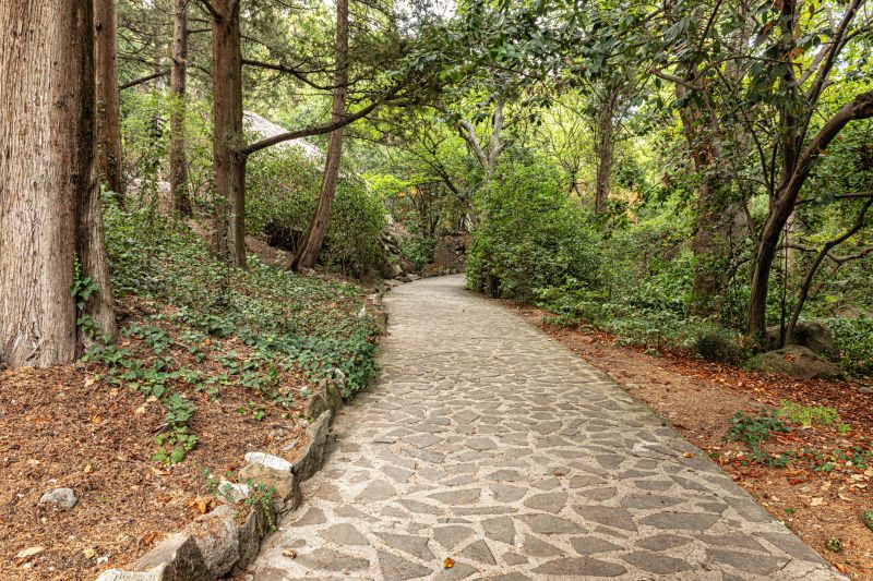 Paver Walkway Repair detail