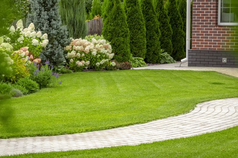 Paver Hardscape Installation