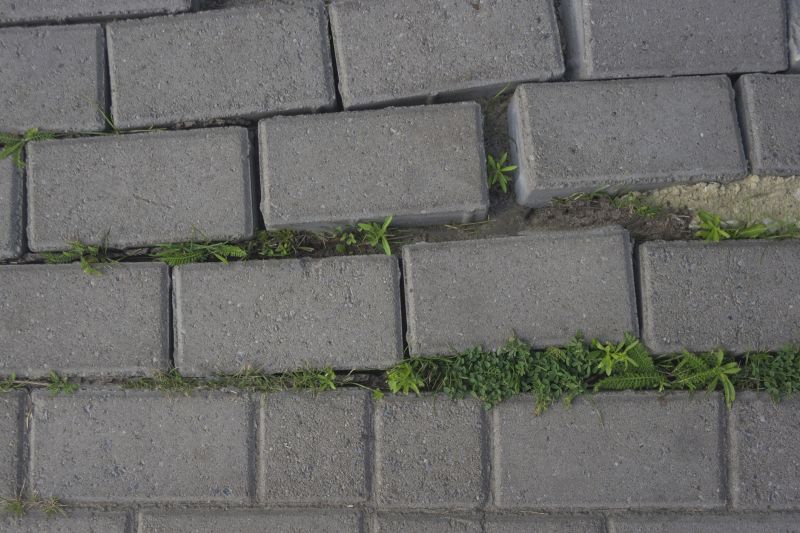 Paver Walkway Repair