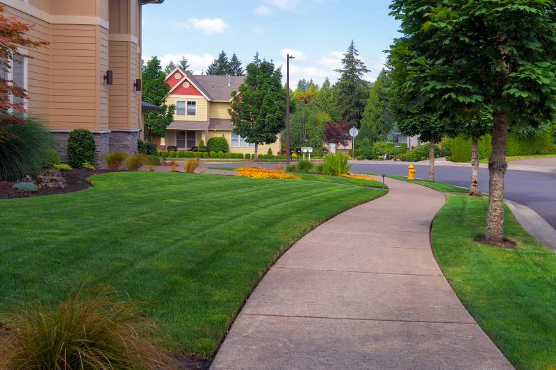 Stone Sidewalk Installation