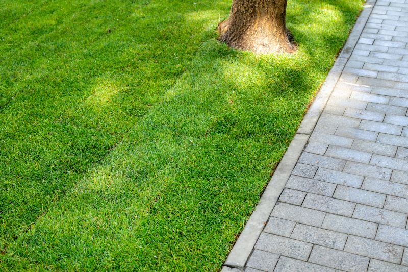 Stone Walkway Installation