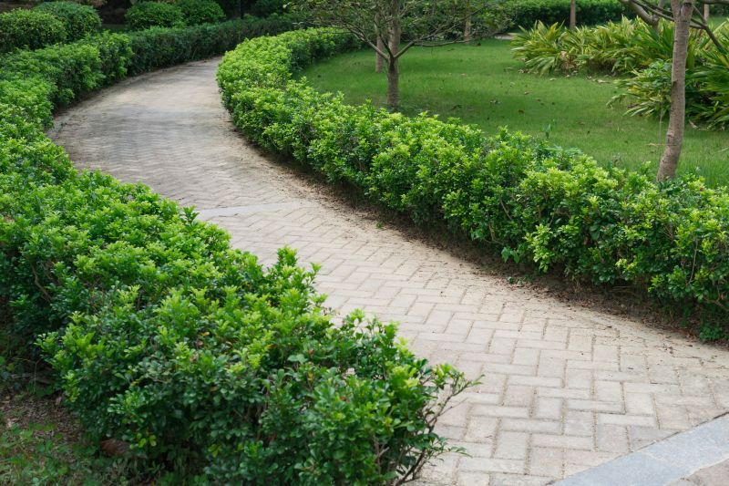 Walkway Pavers Installation